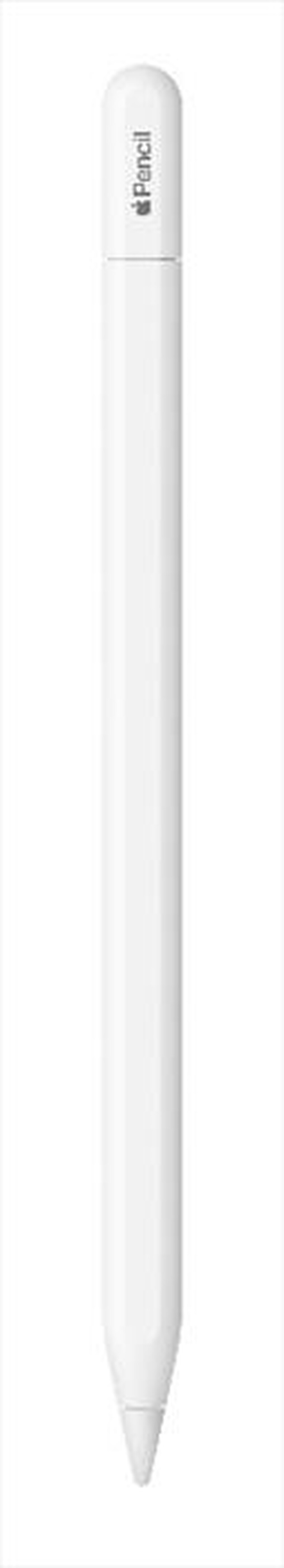 "APPLE - Apple Pencil (USB-C)"